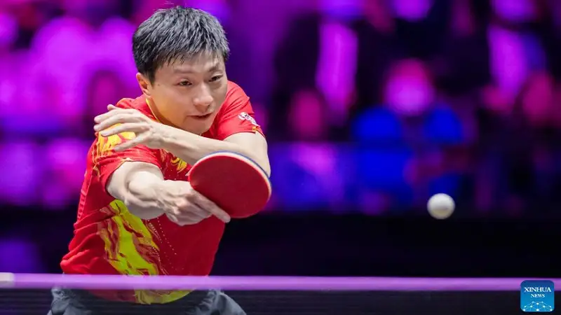 Ma Long Net Worth